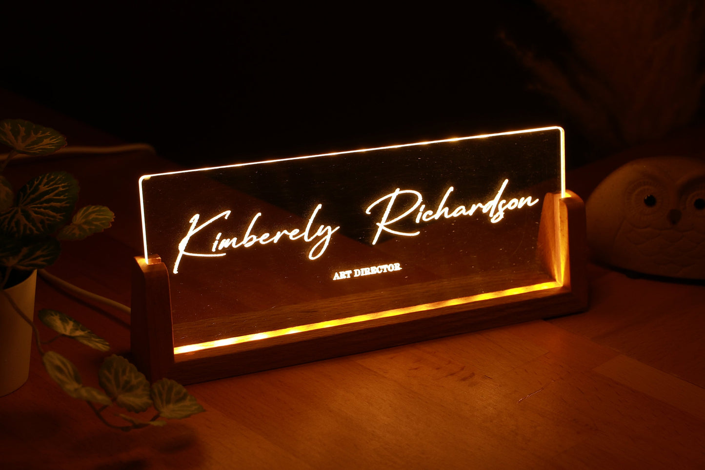 Personalized Doctor Gift - Desk Name Plate Custom