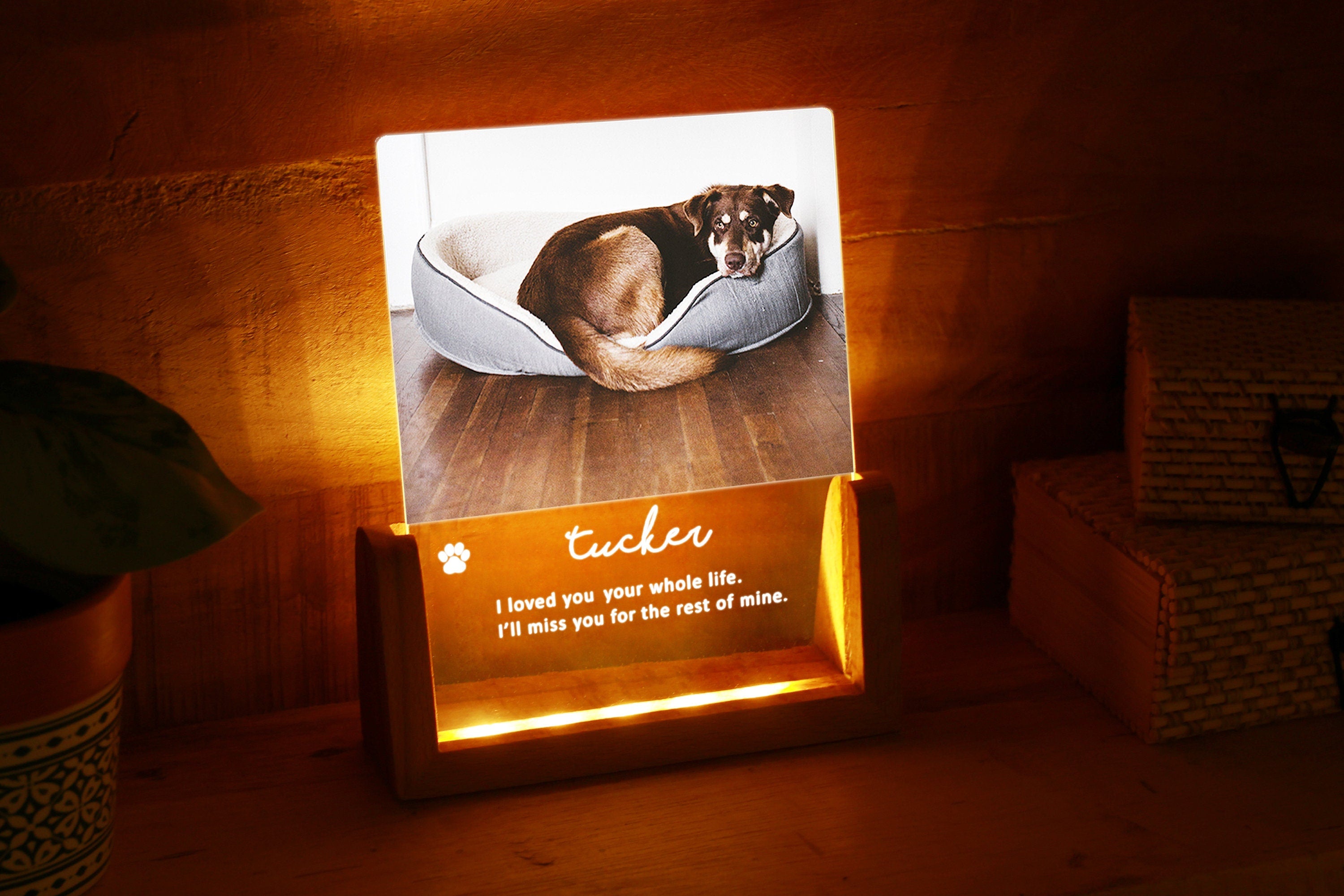 Personalized Pet Photo Remembrance, Pet Memorial Night Light, Photo Engraved LED Lamp Personalized