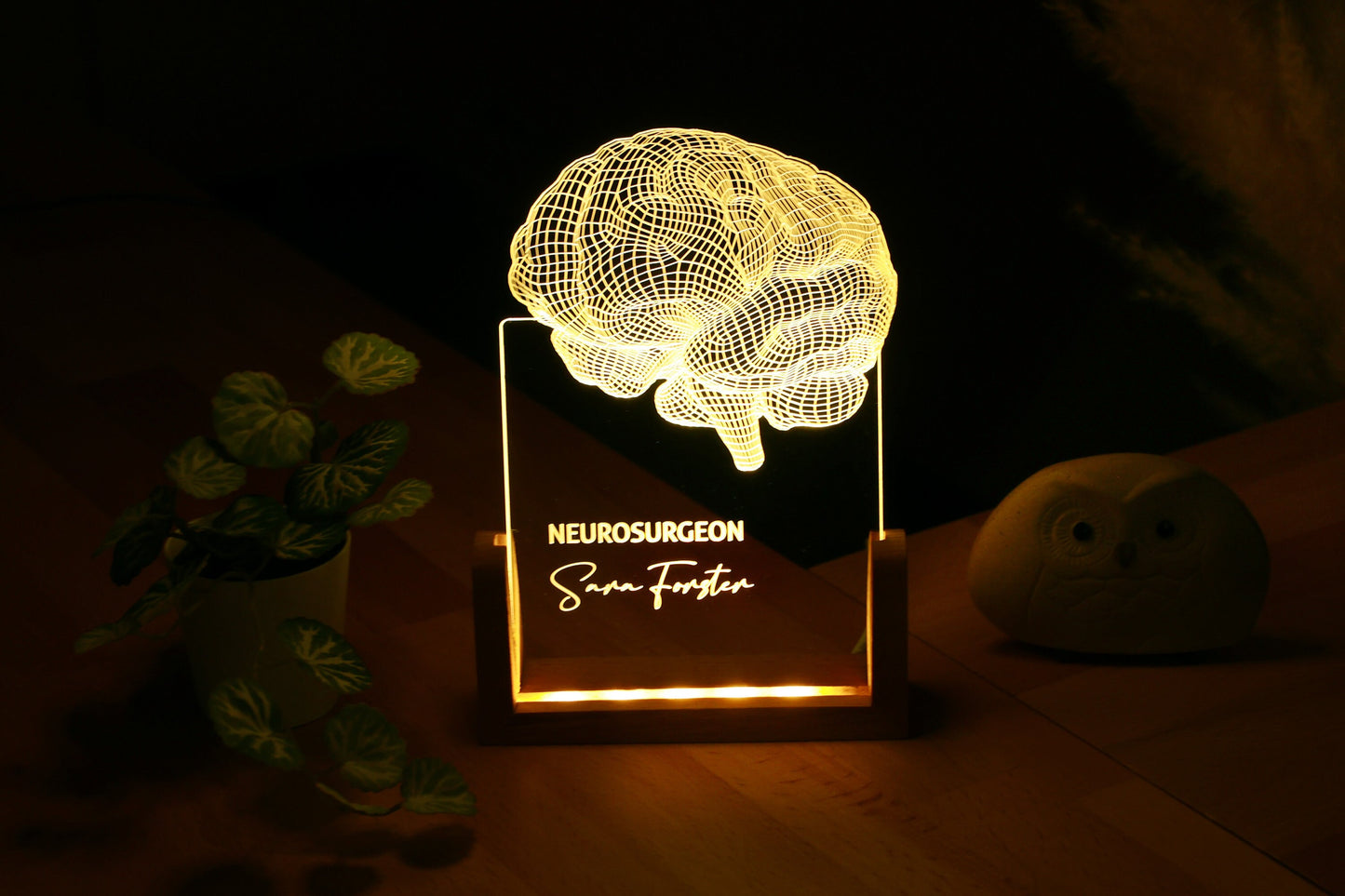 Neurologist Gifts, Brain LED Night Light Personalized