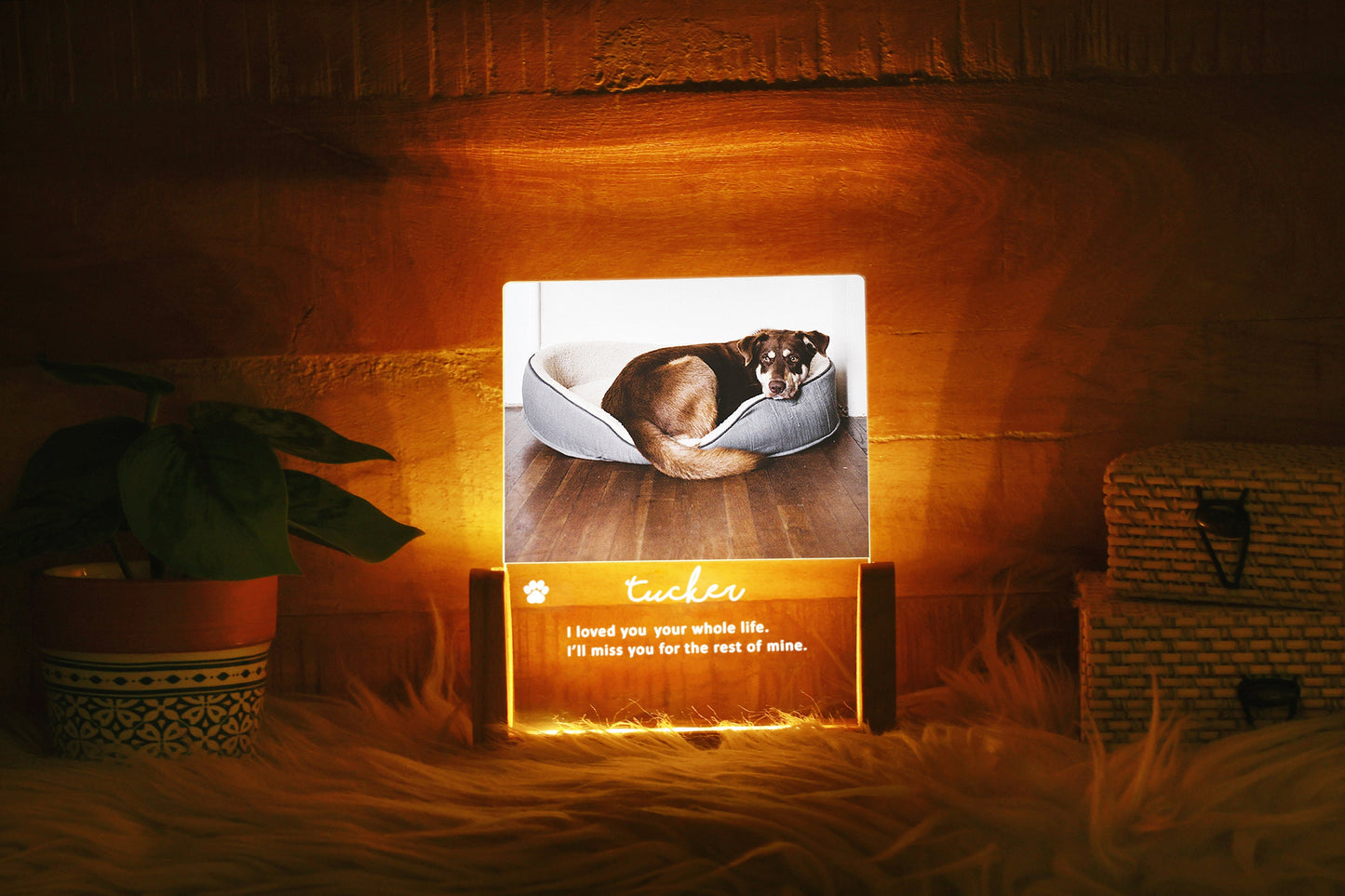 Personalized Pet Photo Remembrance, Pet Memorial Night Light, Photo Engraved LED Lamp Personalized