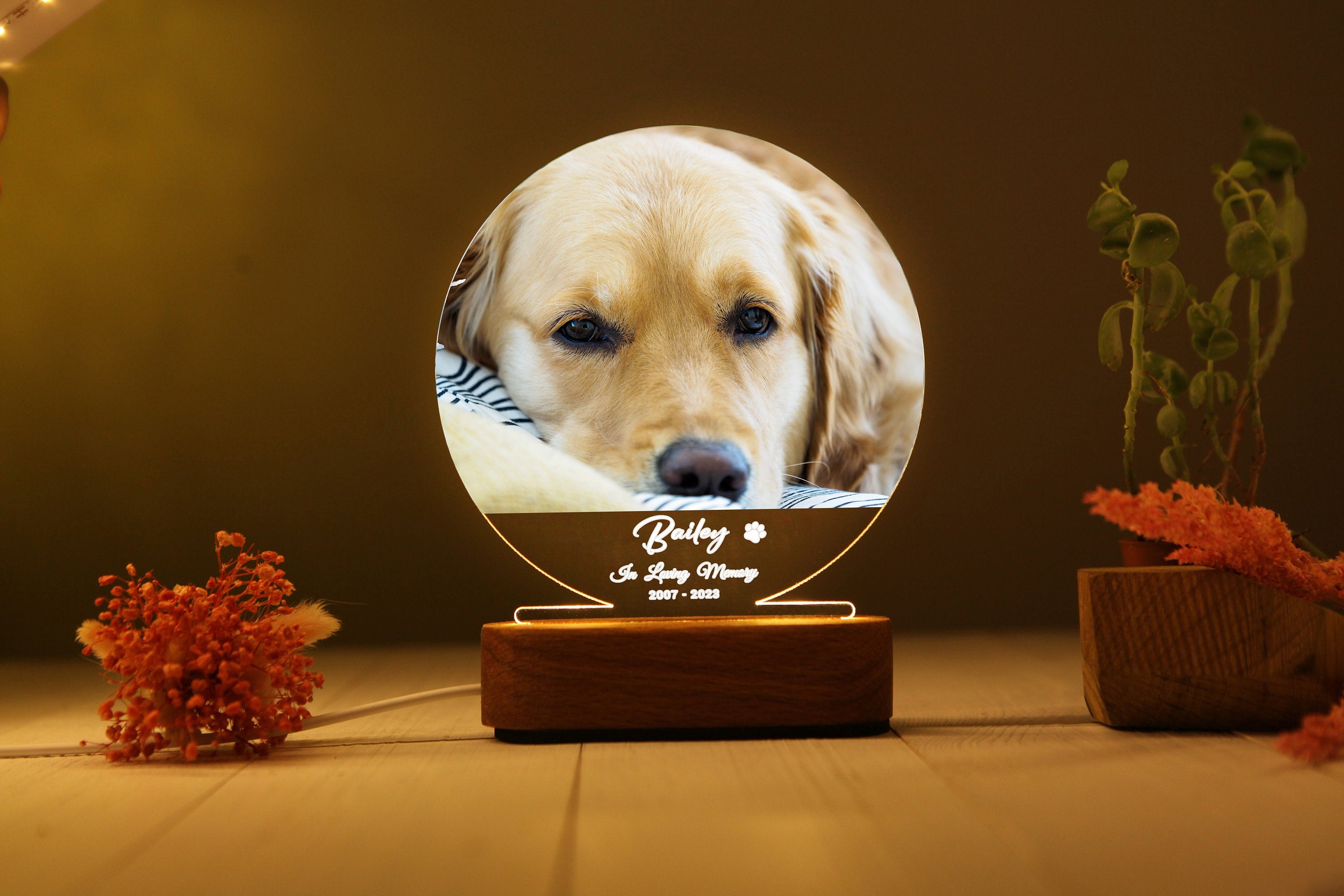 Custom Pet Print Night Light - Pet Remembrance Gift - Dog Memorial - Cat Memorial